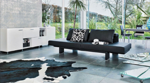 Looking for something else? Check our premium line collections!